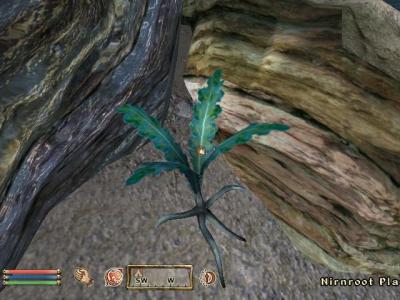 Nirnroot