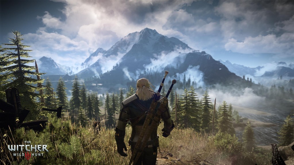 The Witcher 3 - 27