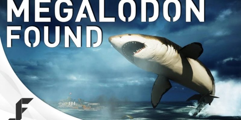 Battlefield 4 Megalodon Has Been Found Giant Shark Action Inside battlefield 4 megalodon has been found