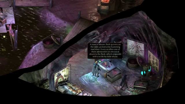 torment tides of numenera save game editor