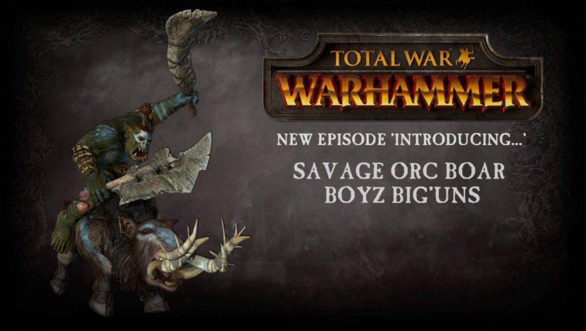 total war warhammer orcs