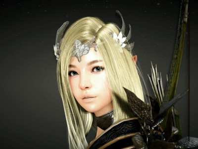 Mmo Black Desert Online Previews Are Visually Impressive