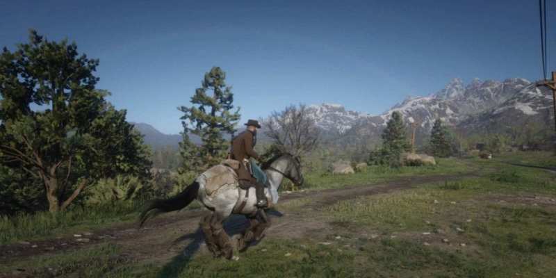 Red Dead Redemption 2 Review PC