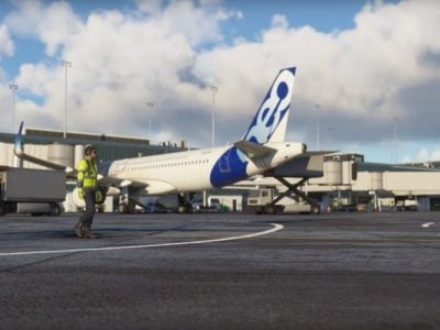 Microsoft Flight Simulator 2020 Animated Ground Workers