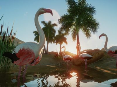 Planet Zoo Flamingos