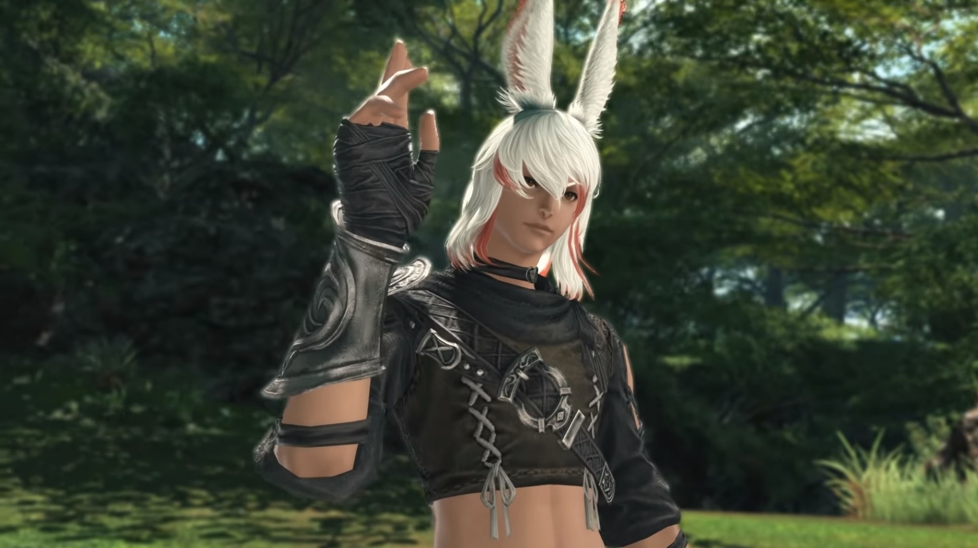 Ffxiv male viera