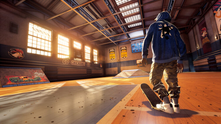 Vicarious Visions Blizzard Tony Hawk