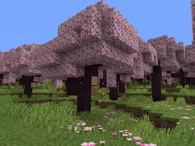 Minecraft Cherry Blossom Biome update 1.20 featured image