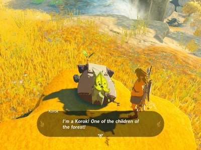 Are Koroks In Tears Of The Kingdom Answered