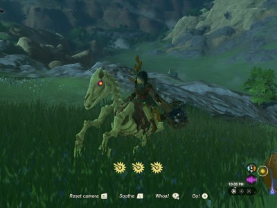 How To Get Skeletal Horse In Tears Of The Kingdom