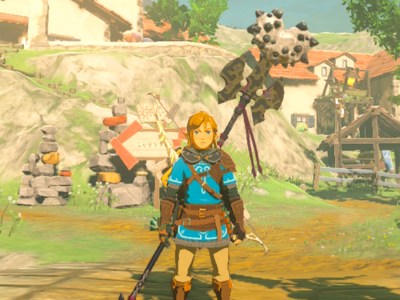 Tears Of The Kingdom Hylian Hood Link Lowered