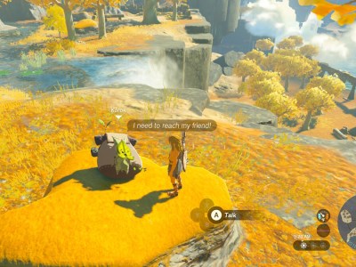 Zelda Tears Of The Kingdom Help The Korok Reach His Friend