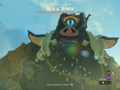 Totk Black Hinox Extreme Closeup