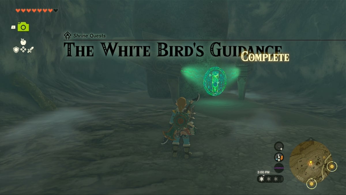 How To Complete The White Bird S Guidance In Tears Of The Kingdom TotK   Totk White Birds Guidance Shrine Quest Complete 