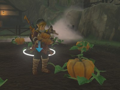 Tears Of The Kingdom Fortified Pumpkin Guide