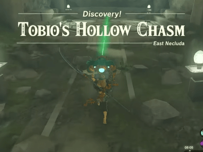 Tobio's Hollow Chasm