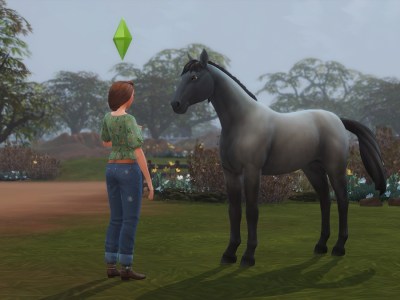 How To Get A Horse In The Sims 4 Horse Ranch