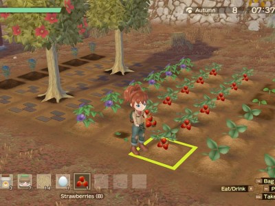 Story Of Seasons A Wonderful Life How Long To Grow All Crops