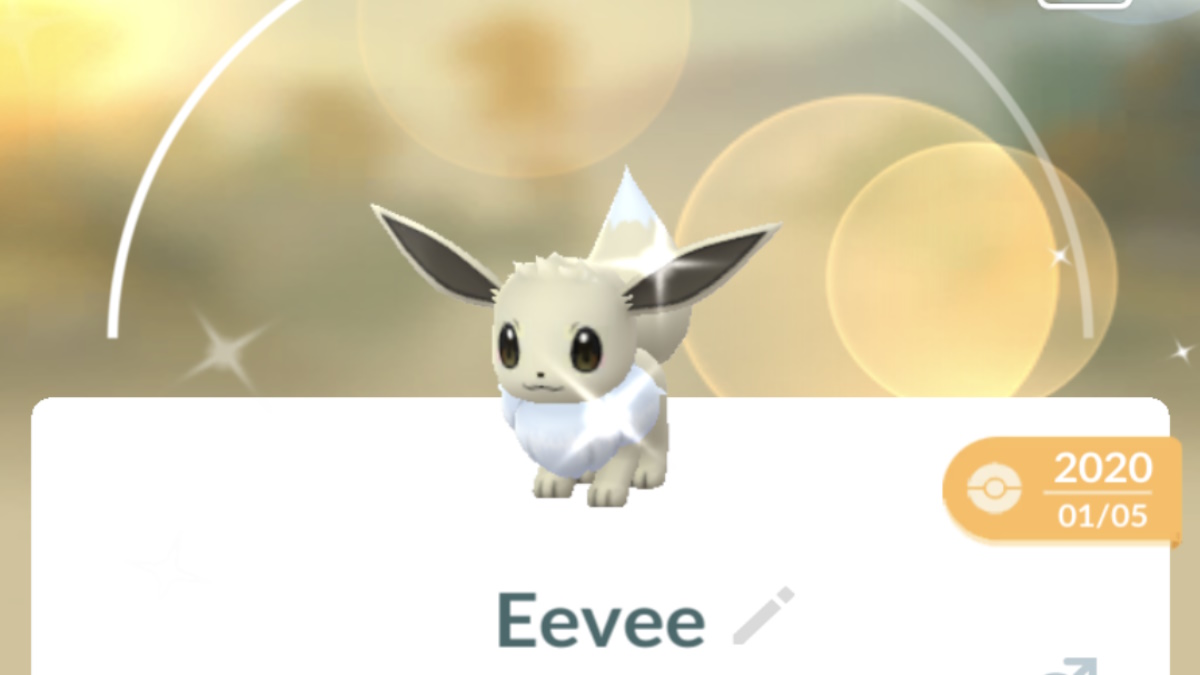 How to Get Shiny Eevee Evolutions in Pokémon GO?