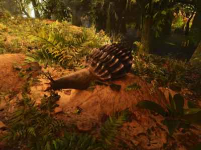 Achatina In Swamp In Ark Survival Ascended