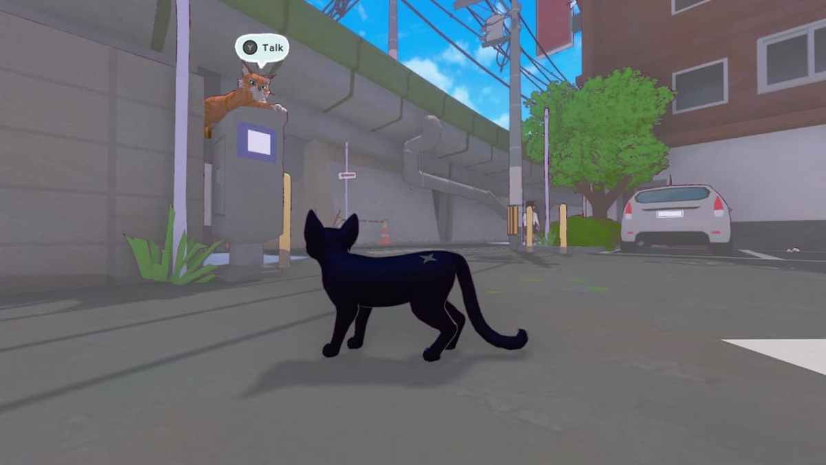 Chú mèo nhỏ của thành phố lớn Kitty nói chuyện với một con vật khác1