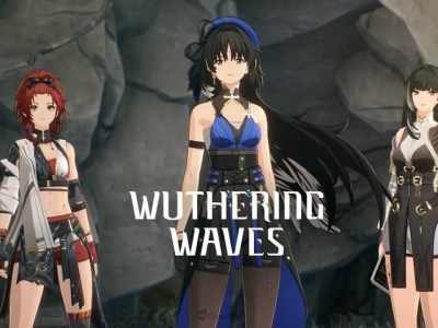 Multiplayer Wuthering Waves Co Op