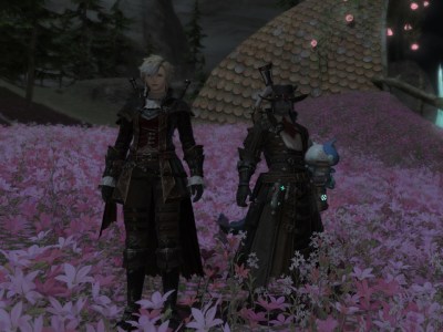 Best PC settings for FFXIV Dawntrail: Graphics and Performance explained