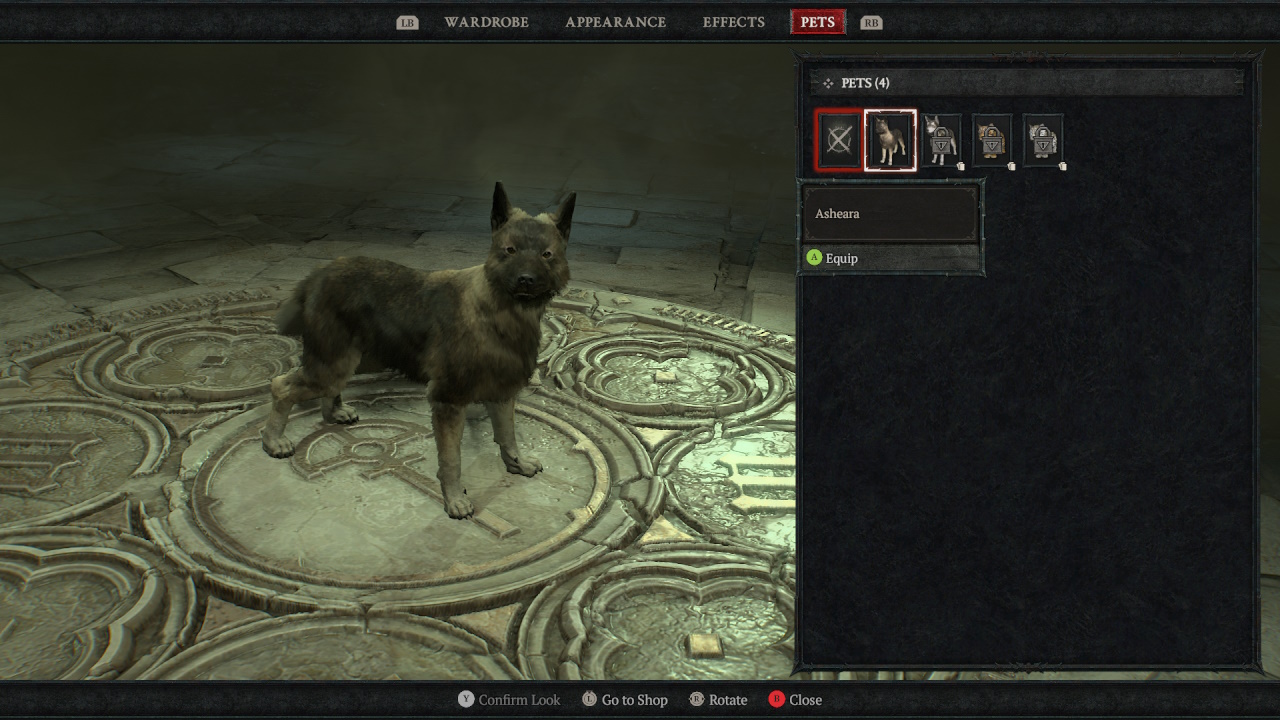 Как получить бесплатного питомца-собаку и начать квест «Верный спутник» в Diablo 4
