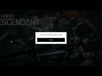 Account Pending Suspension Error 1204 The First Descendant
