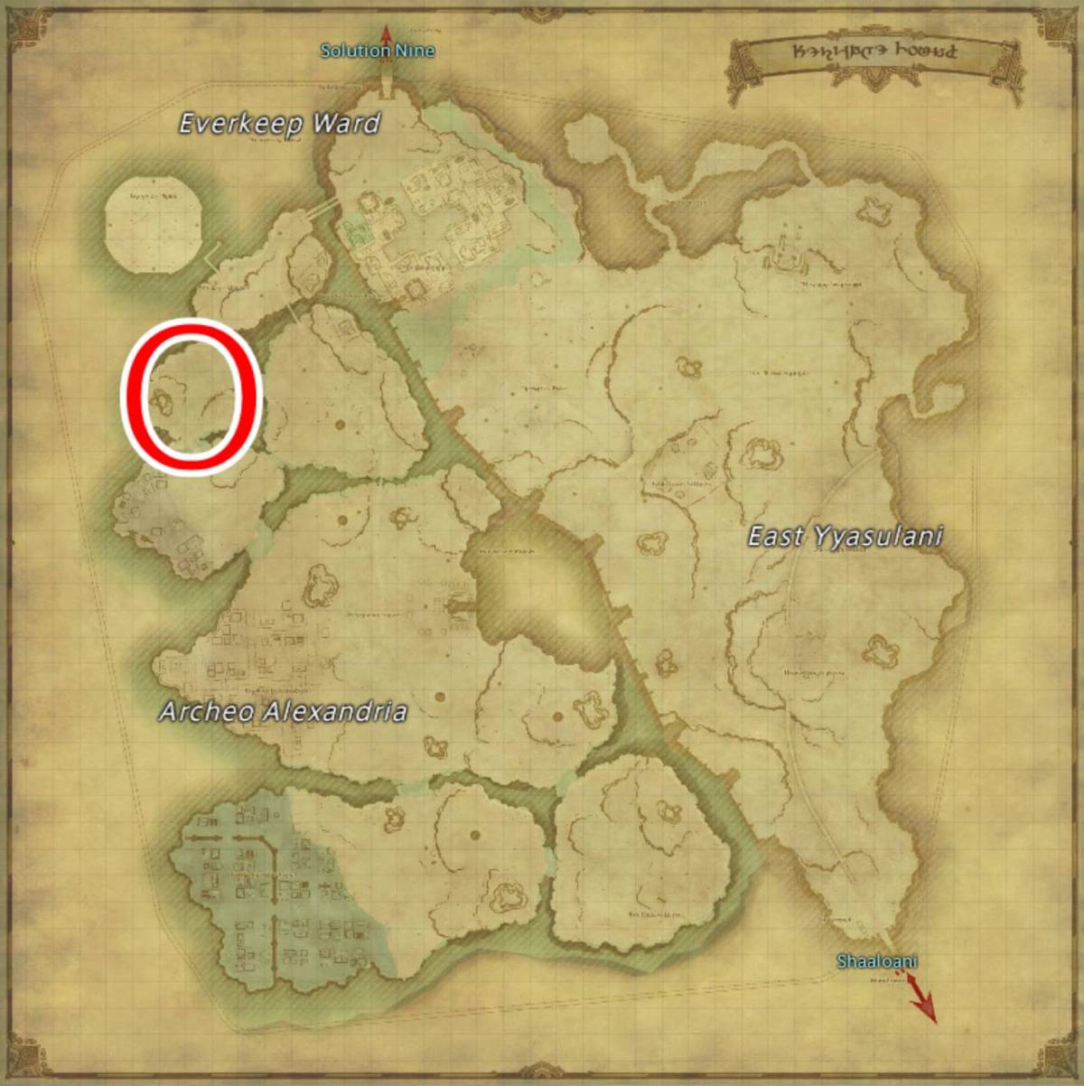 Ffxiv Dawntrail Asterodia Location