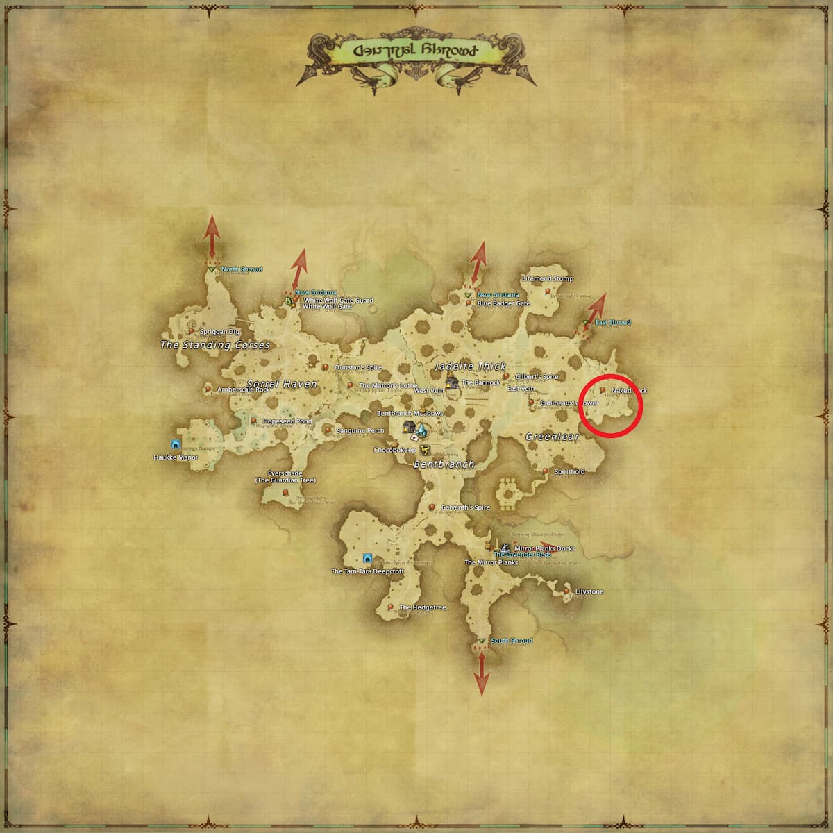 All Arr Hunt Mark Locations In Ffxiv Central Shroud Alpha Anole (fate)