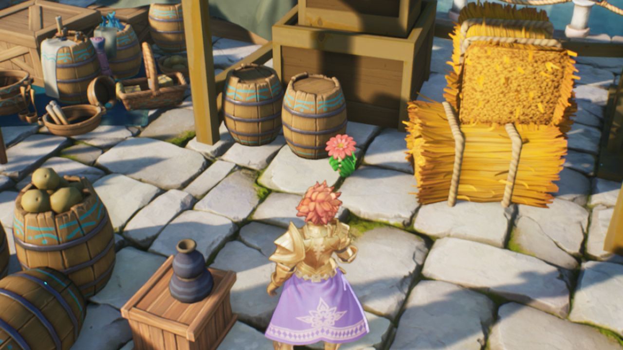 Lil Cactus Hiding Spot In Visions Of Mana